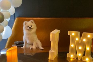 杭州滨江区西兴街道附近酒吧招聘包厢气氛租,一般在哪招聘