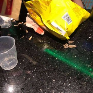 招聘人力的文案（吸引人才加入：创意招聘文案）