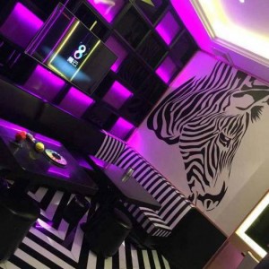 杭州上城区丁兰街道附近夜总会招聘包厢服务员,(不收入职费,直接入职的)