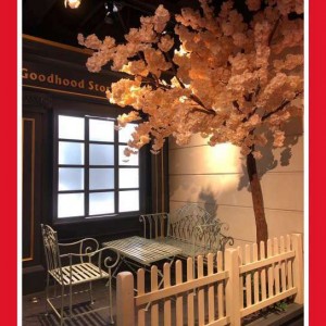 合肥求职者杭州寻IT岗