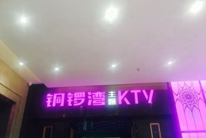 杭州富阳区春建乡附近夜总会招聘商务礼仪,(不收入职费,直接入职的)