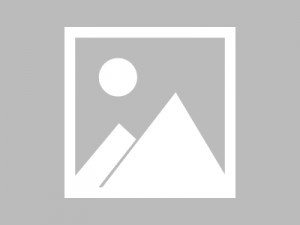 杭州肃山求职：聚焦IT／电商行业新机遇