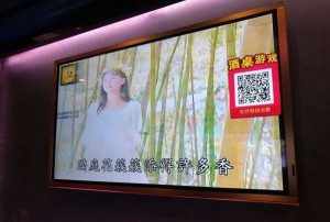 跨年演员招聘文案（重塑新年氛围：跨时代演员招募启事）